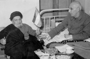 موسسه تاریخ و فرهنگ دیارکهن